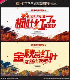 旅游 枫叶红了