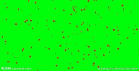 纸屑飘洒-抠像视频