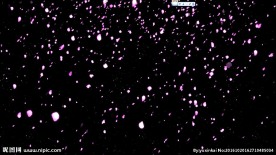 飘落的樱花花瓣动态影视素材