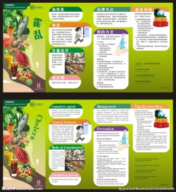 传染病系列 霍乱 四折页