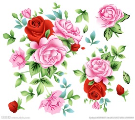 手绘玫瑰（通道分层）