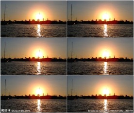 黄昏日落鸭子湖中嬉戏