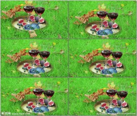 草地果盘酒杯红酒枯叶