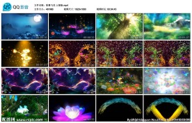 彩舞飞花莲花夜晚浪漫婚礼舞背景