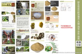 PSD铁皮石斛详情页设计