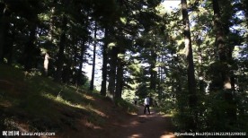 在自然公园散步和徒步旅行