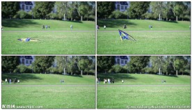 绿草地上风筝飞起