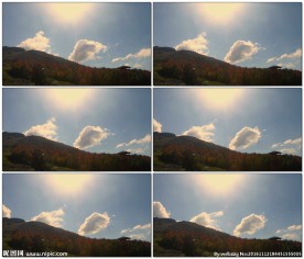 森林上多云的天空