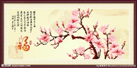 玉兰花