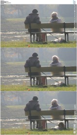 老年人夫妇和一直小狗在公园长椅