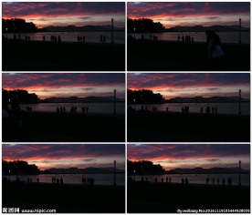 在旧金山的游客