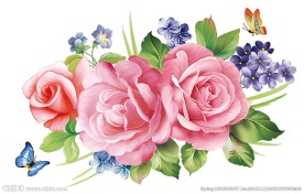 高雅玫瑰 图层分层