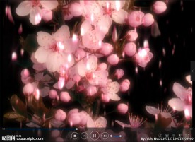 花朵 LED 动态 背景素材