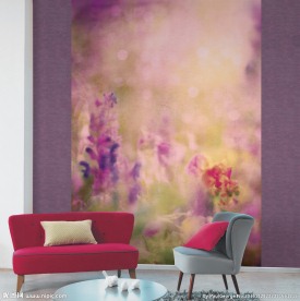 墙纸空间  室内  家具