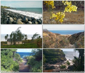 风车海洋潮汐平原