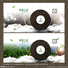 普洱茶