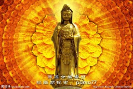 普陀山南海观音莲花背景