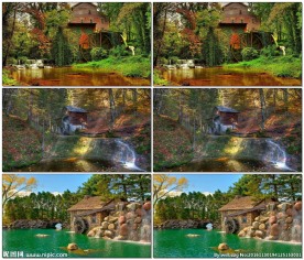 漂亮的森林小屋自然美景