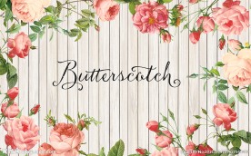 手绘欧式花卉木板墙