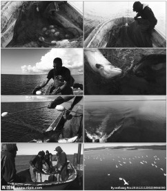 海上渔民捕鱼黑白视频