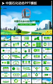 中国石化石油工业天然气2017