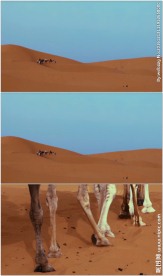 沙漠骆驼丝绸之路