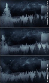 诡异森林夜景动画