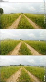 穿越草地上的道路