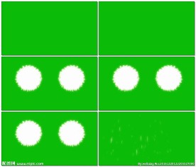 烟花花火绽放绿幕动画