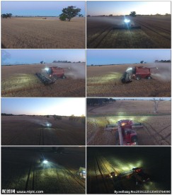 航拍农场机械化收割