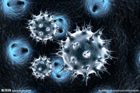 3D演示分析病毒细菌