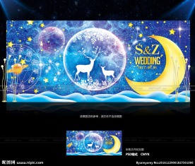 星空婚礼背景