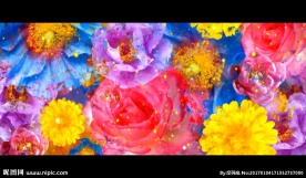 最炫民族风 花朵视频