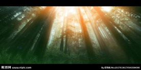 仰视 原始丛林led背景视频