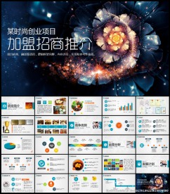 创业融资招商商业计划书PPT