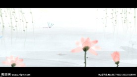 中国风水墨荷花 蜻蜓点水