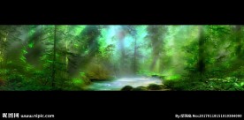 原始森林 荧光梦幻森林