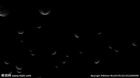 蒲公英透明通道mov格式