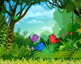 徒劳的寒鸦动画故事