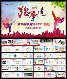 武术功夫跆拳道空手道PPT