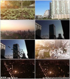 纸币穿梭城市