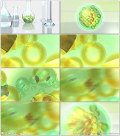 医疗研究微观海藻细胞