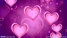 婚礼婚庆爱心视频