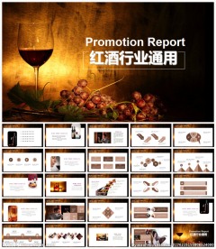 高端大气葡萄酒红酒介绍PPT模
