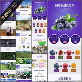蓝莓详情页