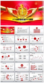 315消费者权益保护日PPT