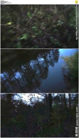 在树林中奔跑视角