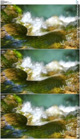 清澈的溪流溪水