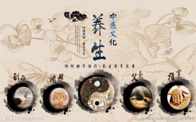 中医养生装饰画背景墙