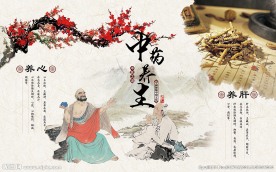 中药养生装饰画背景墙